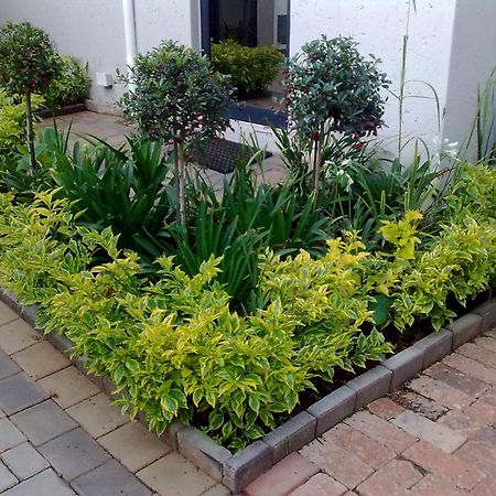 Rosebank Lodge Guesthouse By Claires Johannesburg Esterno foto