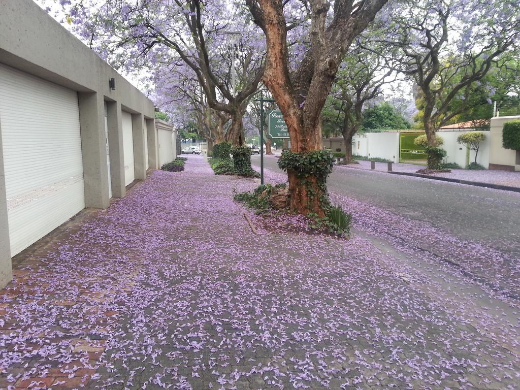 Rosebank Lodge Guesthouse By Claires Johannesburg Esterno foto