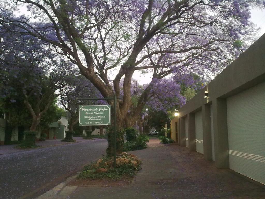 Rosebank Lodge Guesthouse By Claires Johannesburg Camera foto