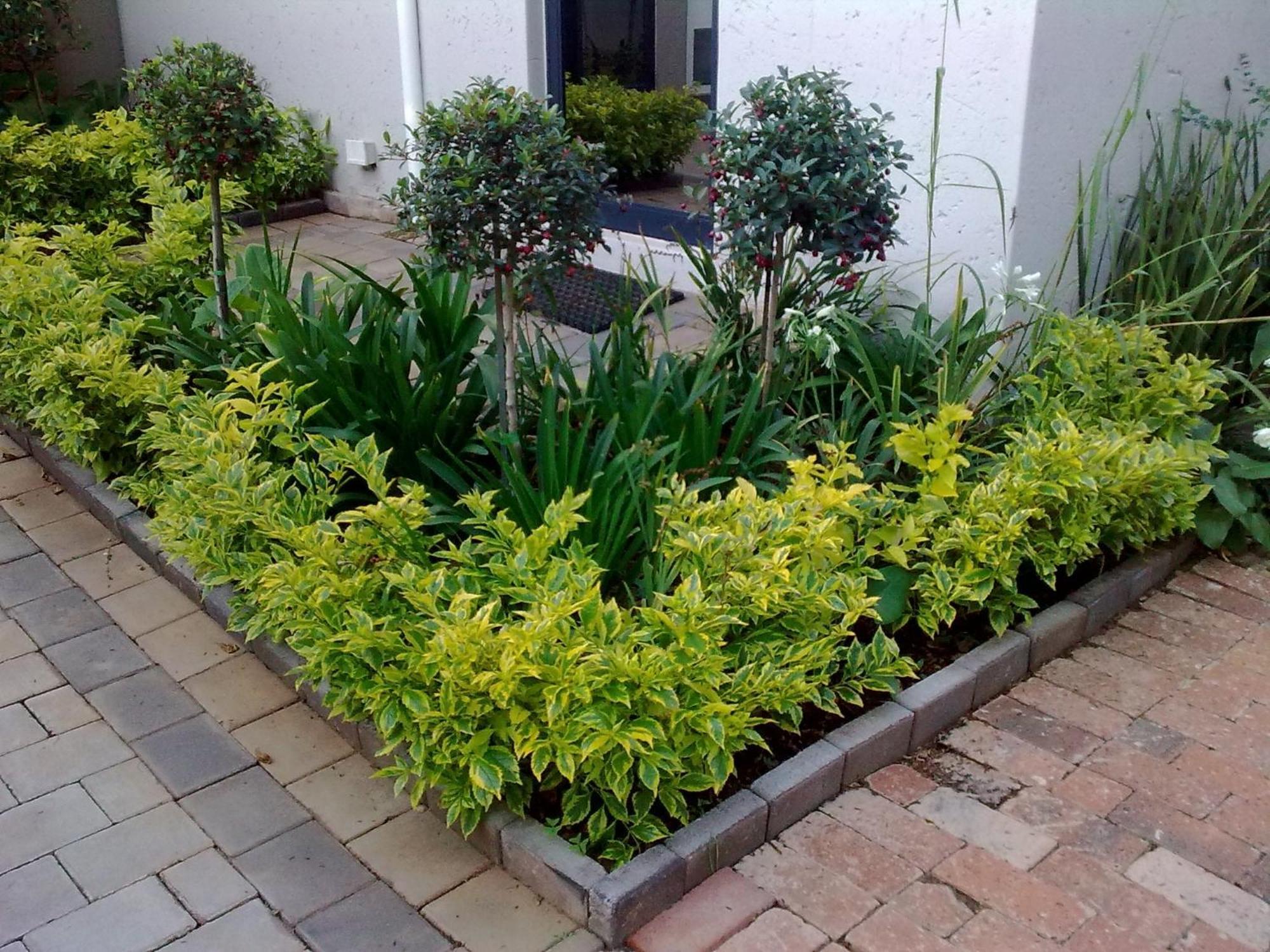 Rosebank Lodge Guesthouse By Claires Johannesburg Esterno foto
