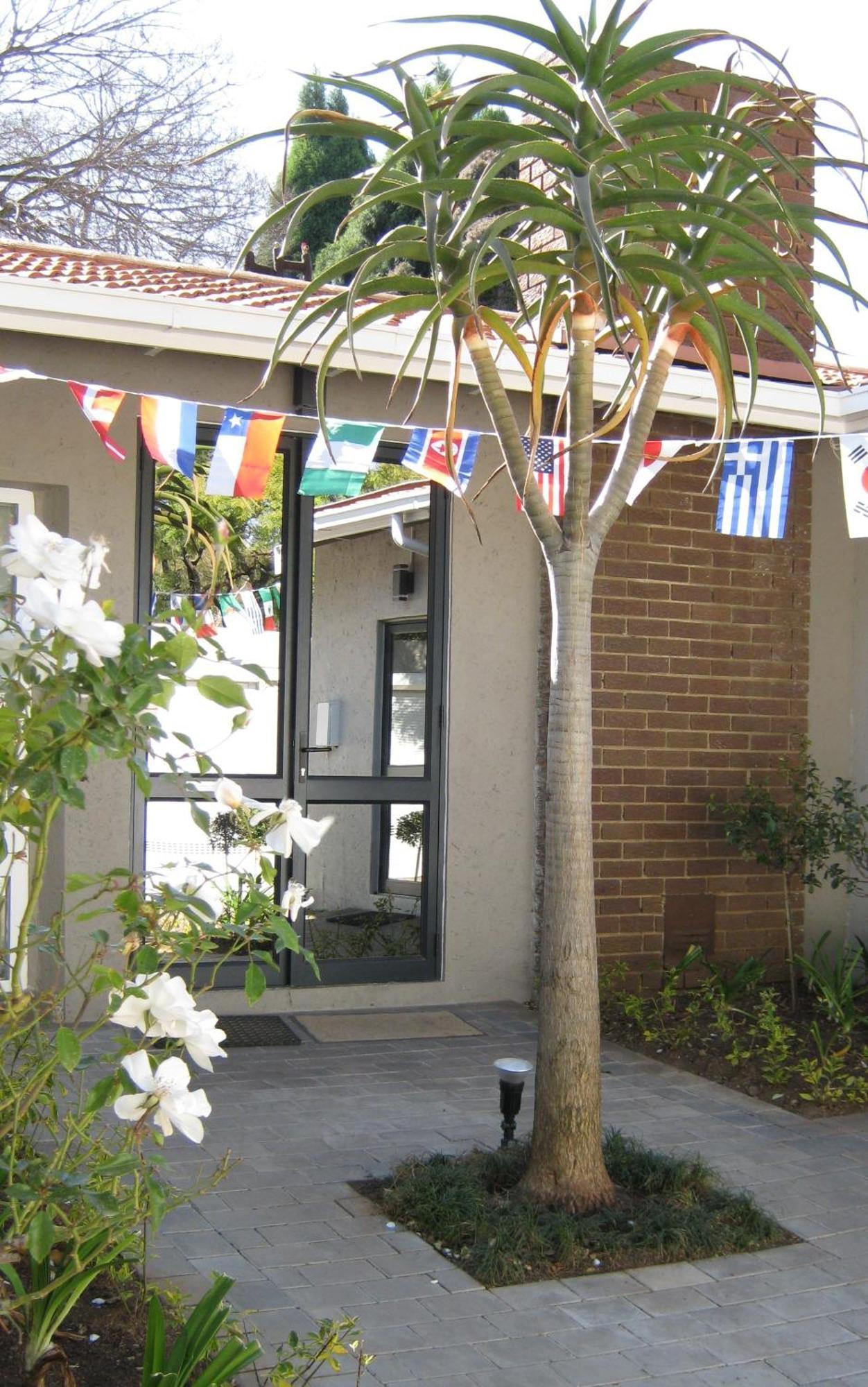 Rosebank Lodge Guesthouse By Claires Johannesburg Esterno foto