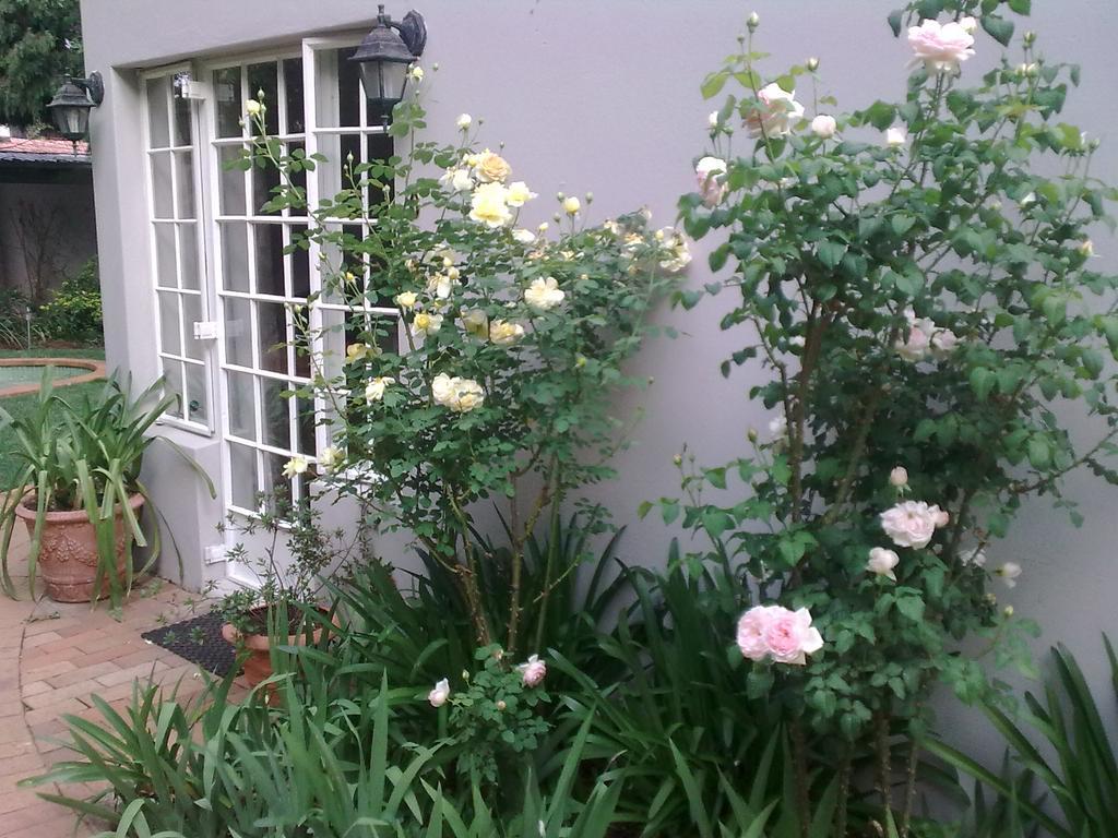 Rosebank Lodge Guesthouse By Claires Johannesburg Esterno foto