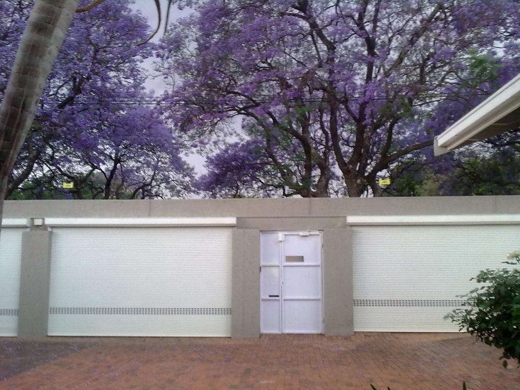 Rosebank Lodge Guesthouse By Claires Johannesburg Esterno foto