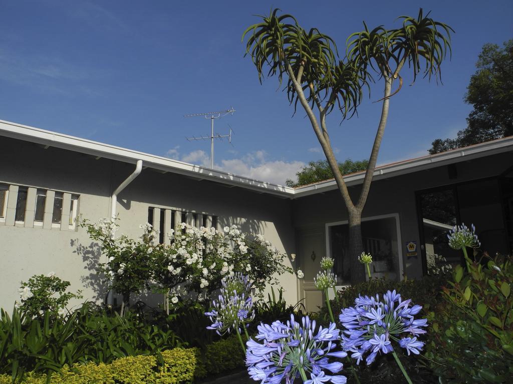 Rosebank Lodge Guesthouse By Claires Johannesburg Esterno foto