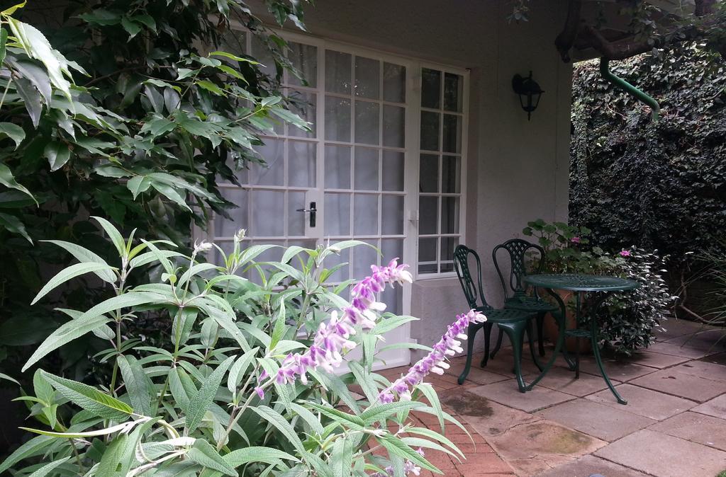 Rosebank Lodge Guesthouse By Claires Johannesburg Esterno foto