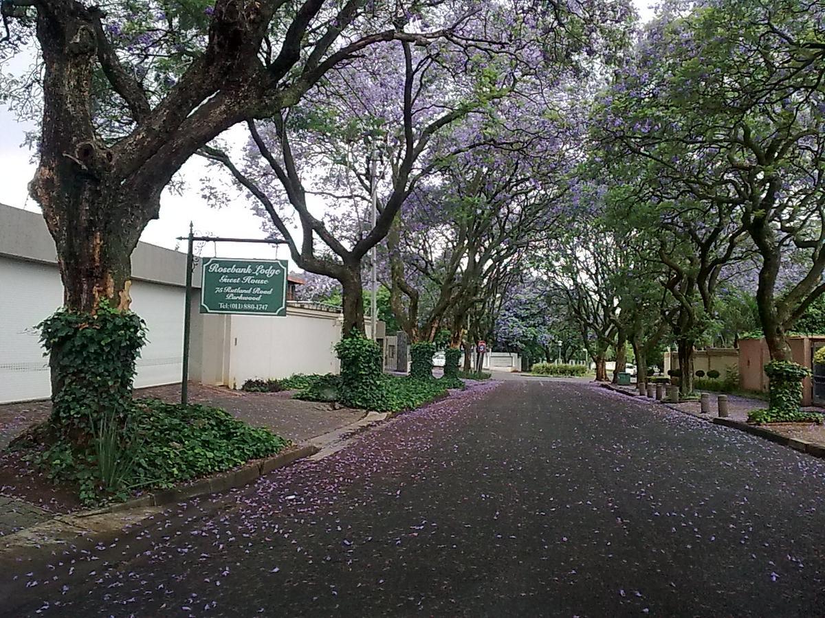 Rosebank Lodge Guesthouse By Claires Johannesburg Esterno foto